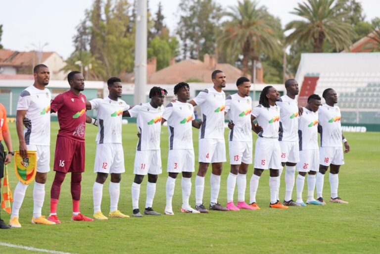 Guépards du Bénin