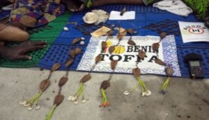 tofa_2-1917f