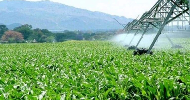agriculture verte